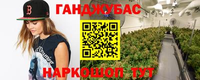 mix Будённовск