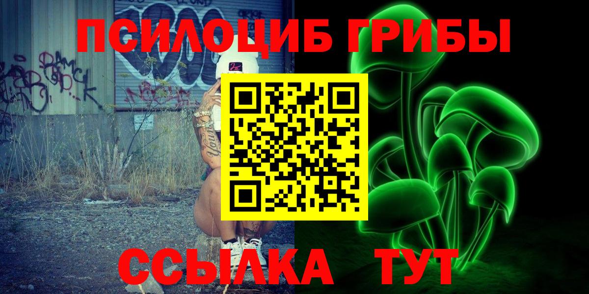 Галлюциногенные грибы Psilocybe Назарово